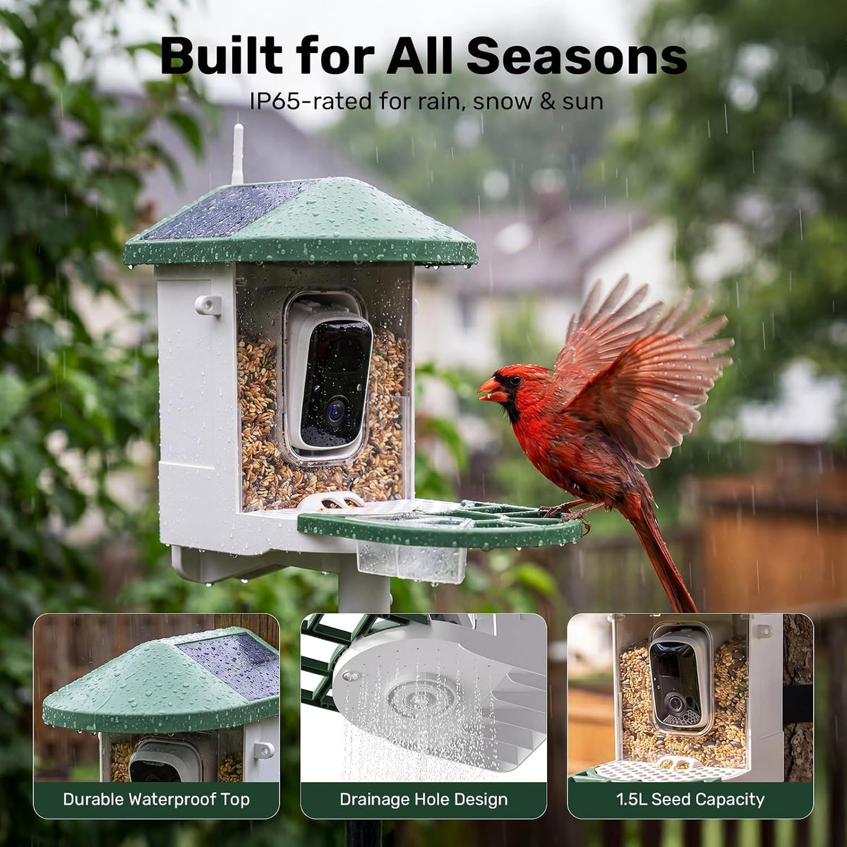 BirdWatch 2K solar smart bird feeder camera for backyard birdwatching