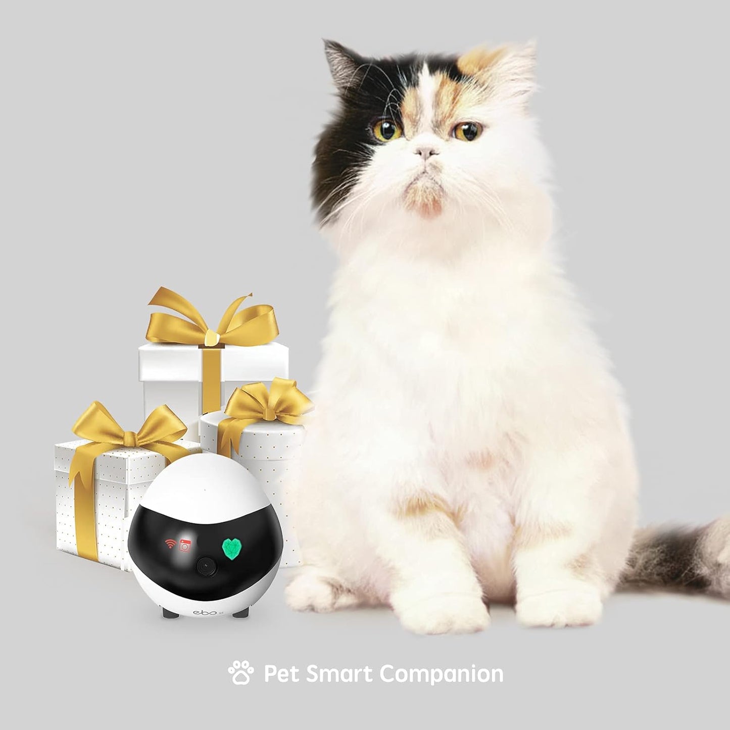 Vessel Tech Robowatch Flagship Camera Robot in a living room with a pet nearby