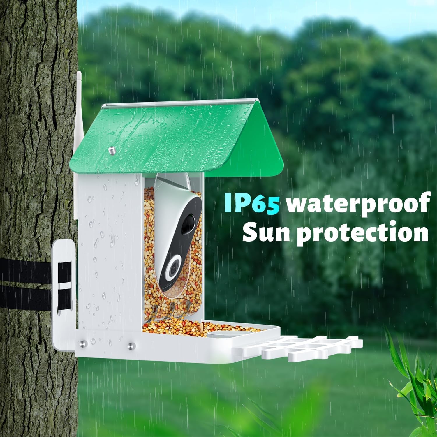 Vessel Tech Birdview™ Smart Bird Feeder Camera — AI Identifies 8,000+ Species