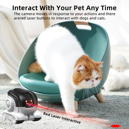 Two-way audio feature on Robowatch Mini letting owner talk to their pet remotely