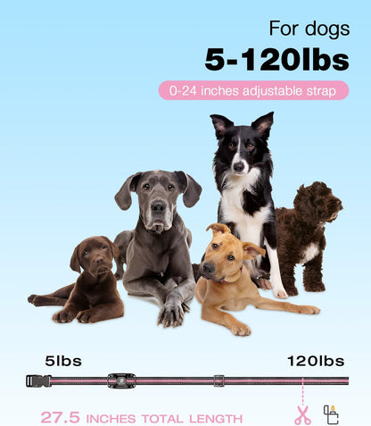 Ultimate Dog Training Shock Collar - 3300Ft Remote Range, Rechargeable & Waterproof E-Collar for All Dog Sizes (5-120lbs) in Stylish Light Pink