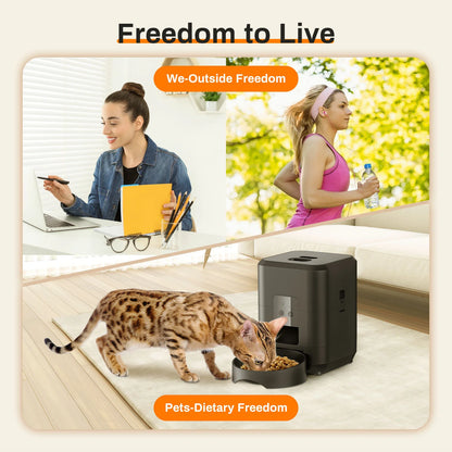 Vessel Tech HEYBO Smart Pet Feeder in lifestyle setting with a cat eating from the bowl.