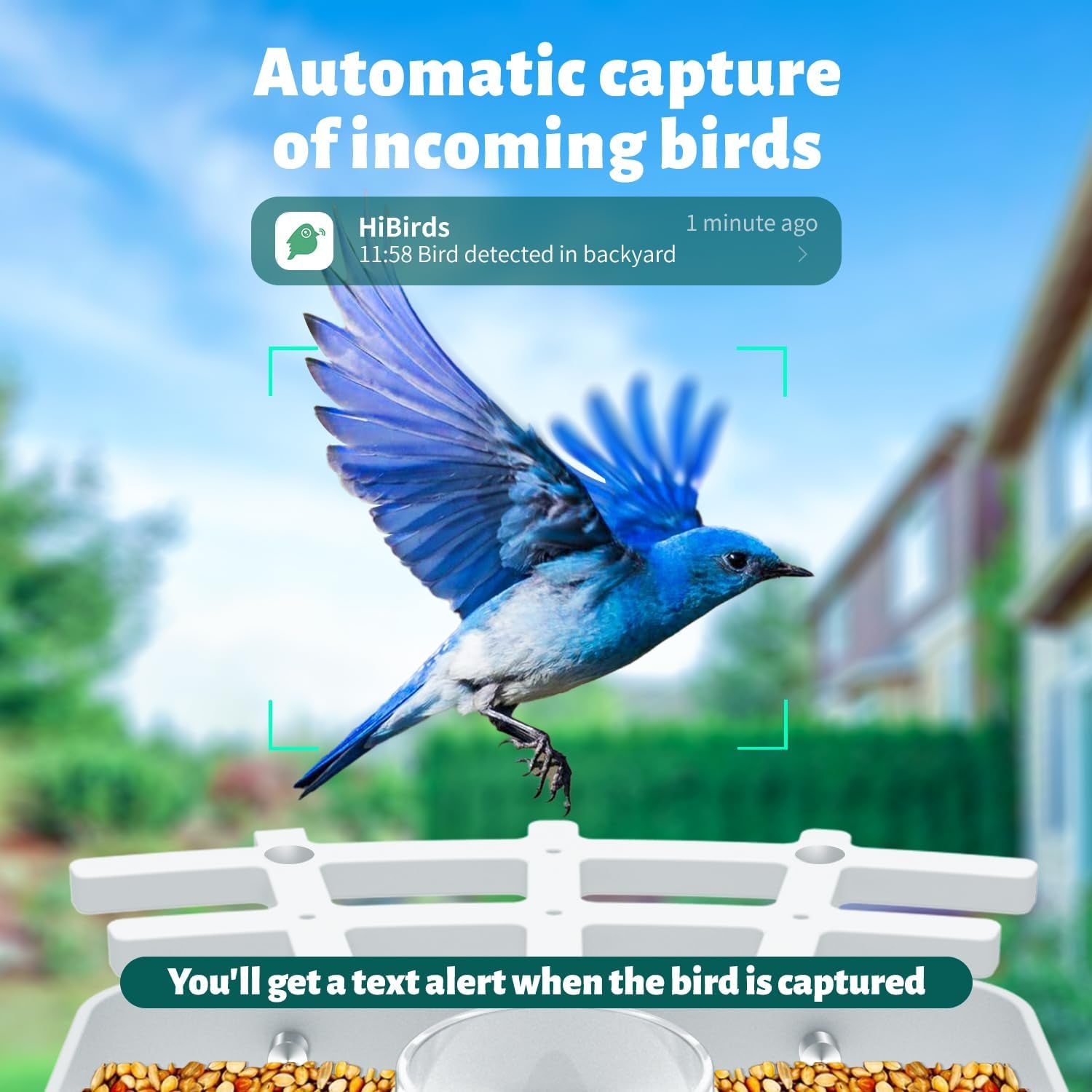 Vessel Tech Birdview™ Smart Bird Feeder Camera — AI Identifies 8,000+ Species