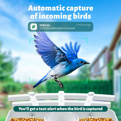 Vessel Tech Birdview™ Smart Bird Feeder Camera — AI Identifies 8,000+ Species