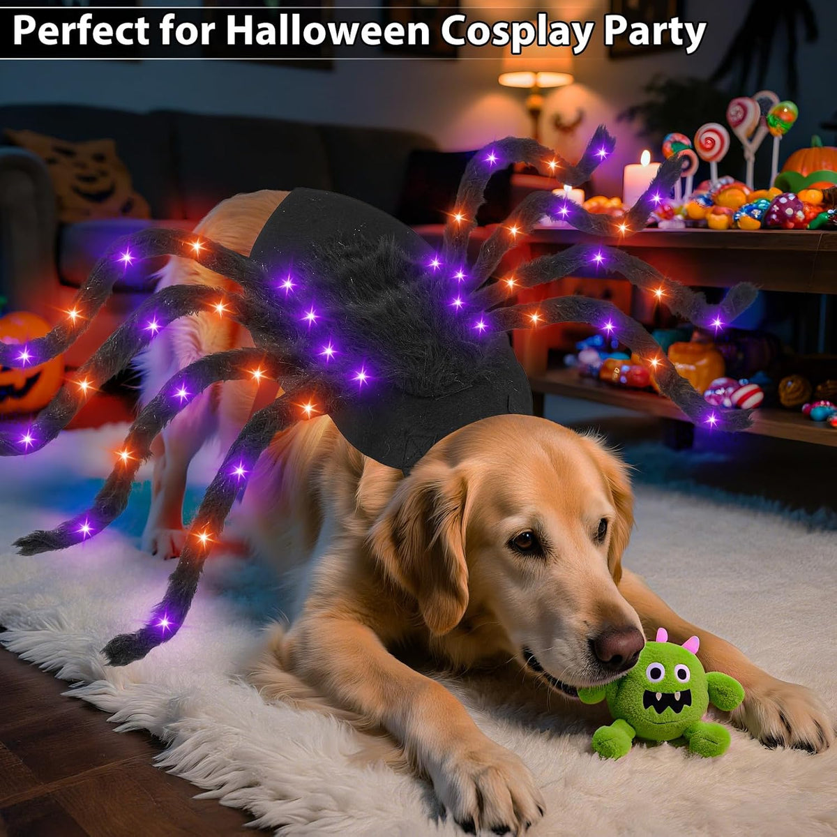 Adjustable light-up spider costume for medium and large dogs