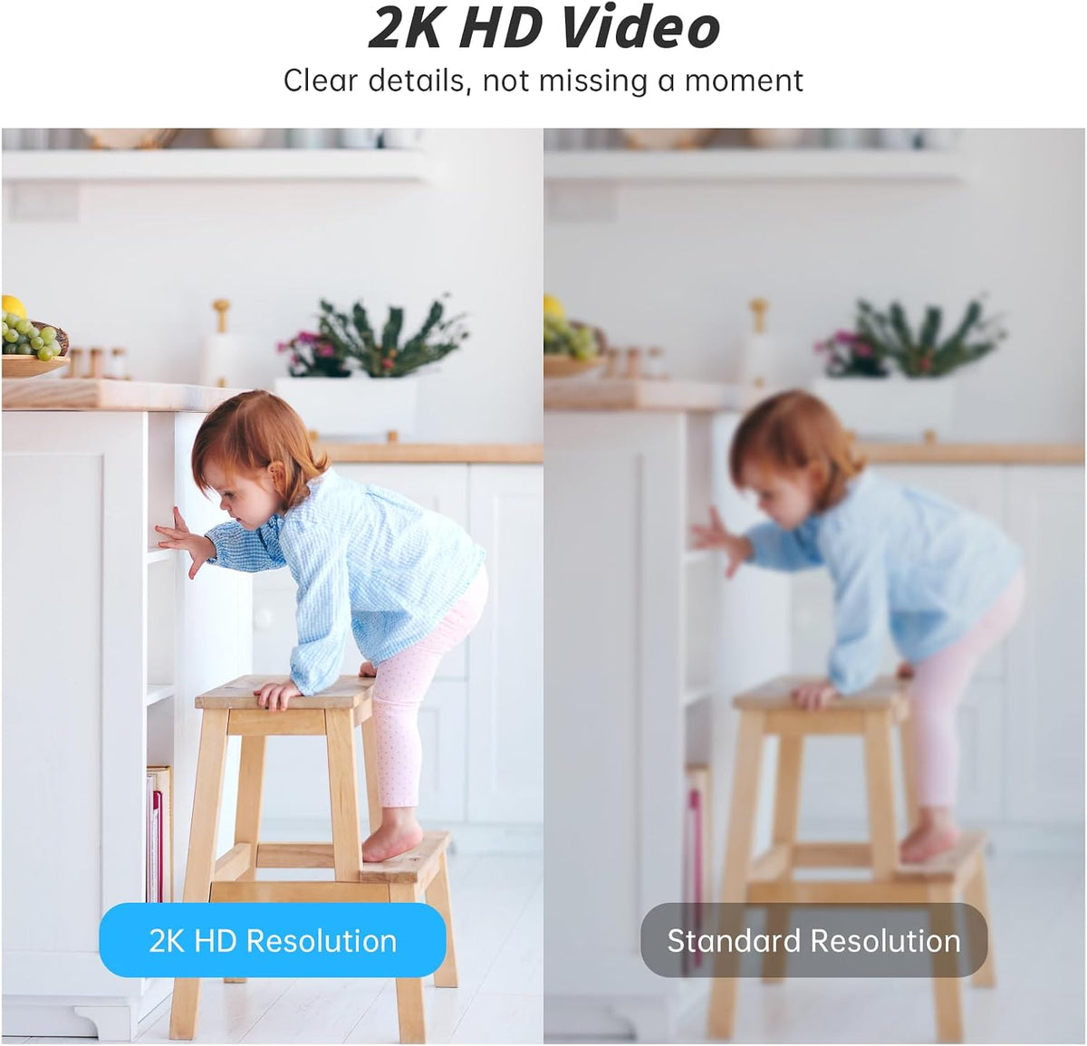 HomeWatch 360 indoor pet and family camera with pan, tilt, and night vision