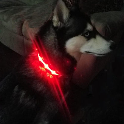 Led Dog Collar, Rechargeable Light up Collar with Flashing Glow for Night Safety