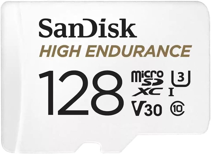 SanDisk High Endurance 128GB microSD card
