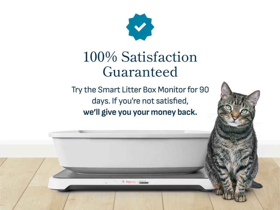 Revolutionary Smart Litter Box Monitor: Keep Your Cat Healthy with AI Technology