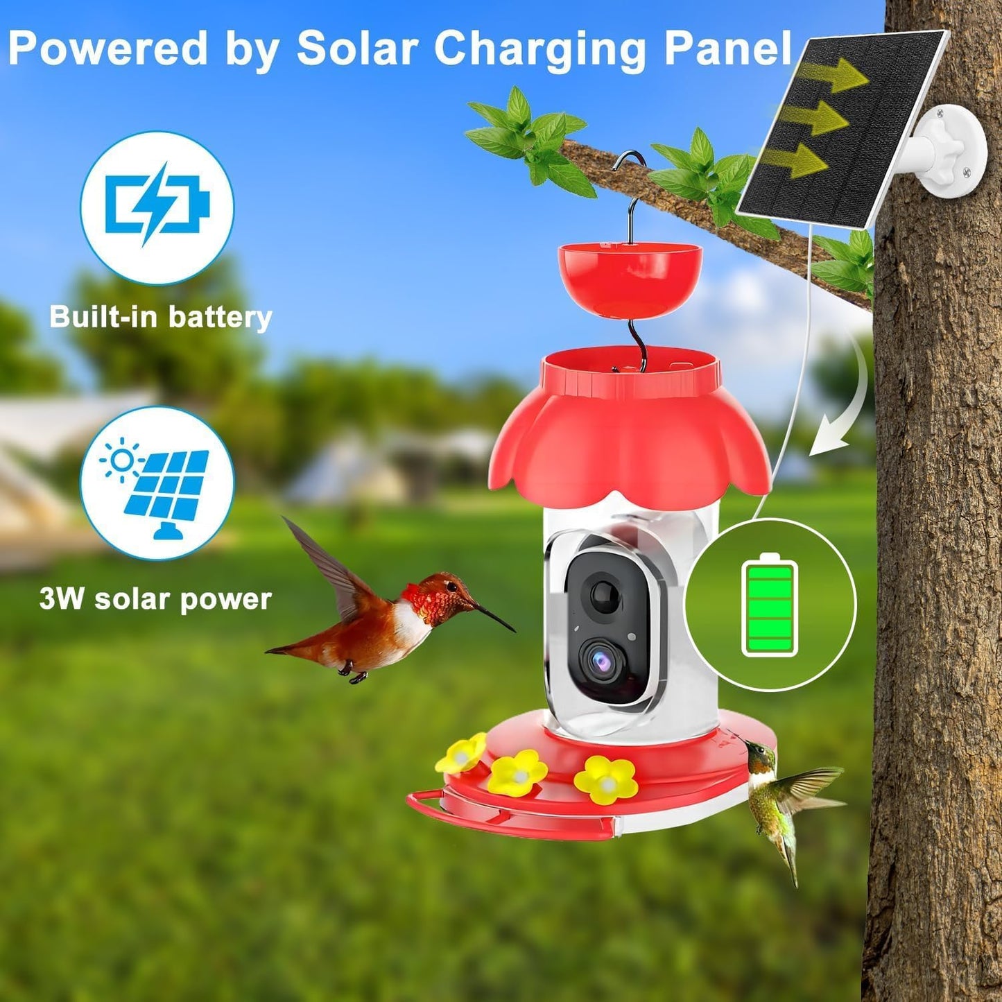 Vessel Tech Hummercam™ Solar Hummingbird Feeder with AI Camera
