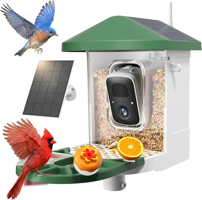 BirdWatch 2K solar smart bird feeder camera for backyard birdwatching