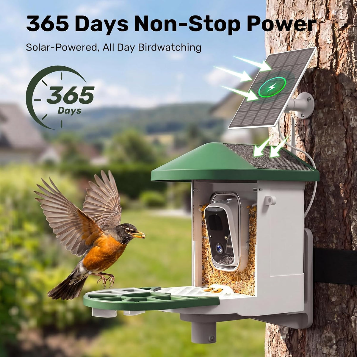 BirdWatch 2K solar smart bird feeder camera for backyard birdwatching