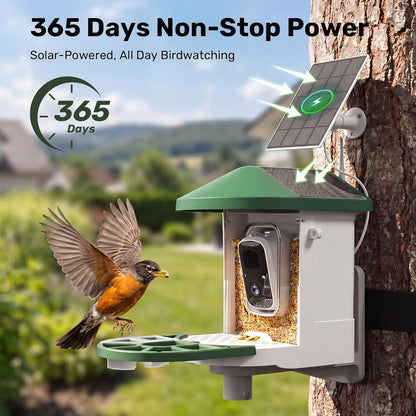 BirdWatch 2K solar smart bird feeder camera for backyard birdwatching
