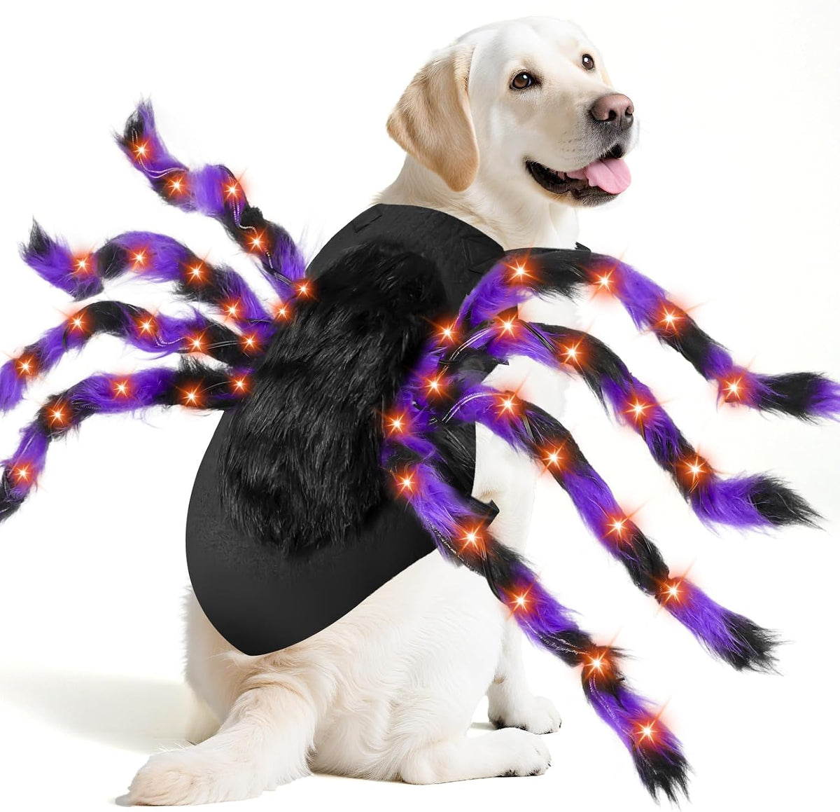 Halloween spider costume for dogs in sizes Medium to X-Large