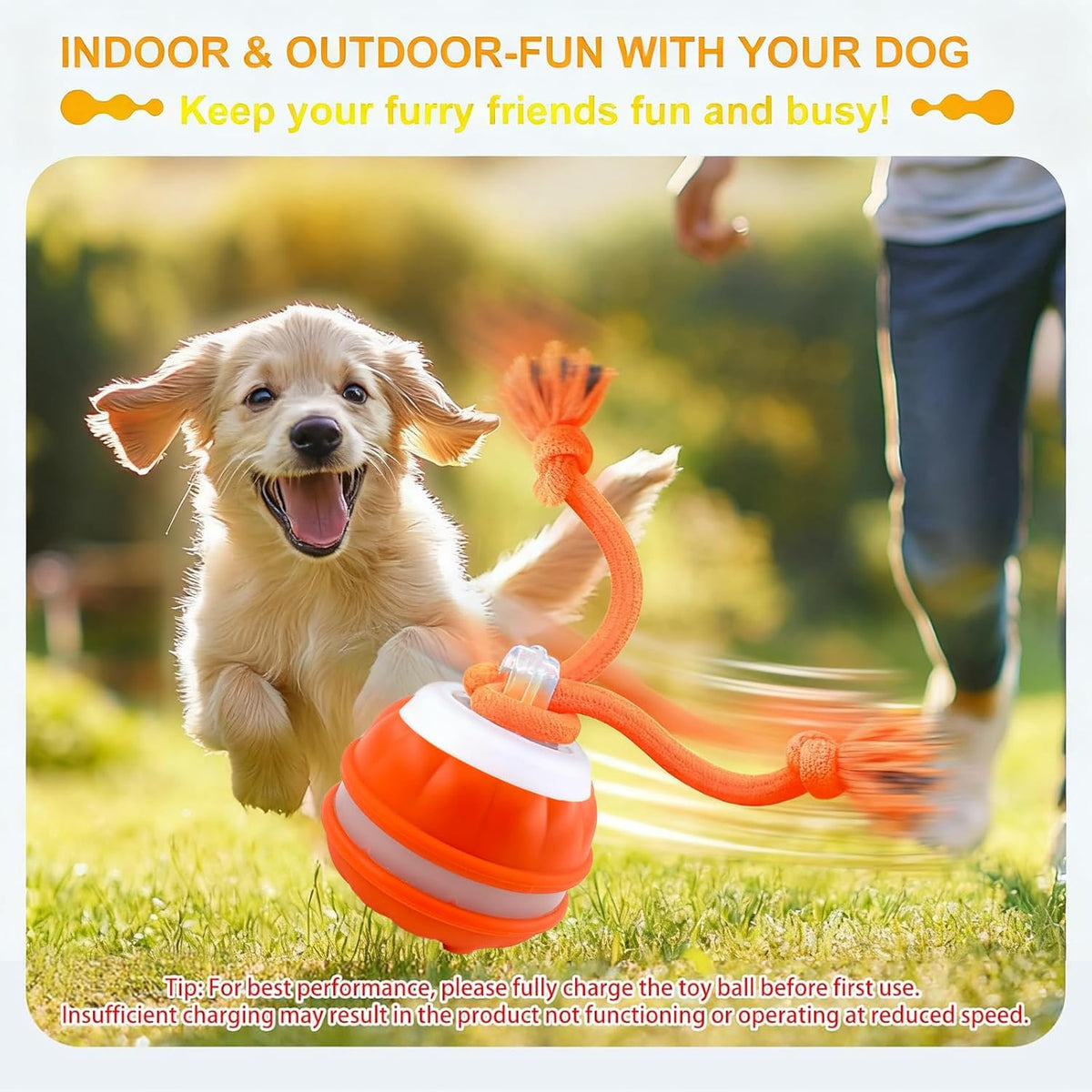 RoboBall™ motion-activated self-rolling dog toy – product image 6