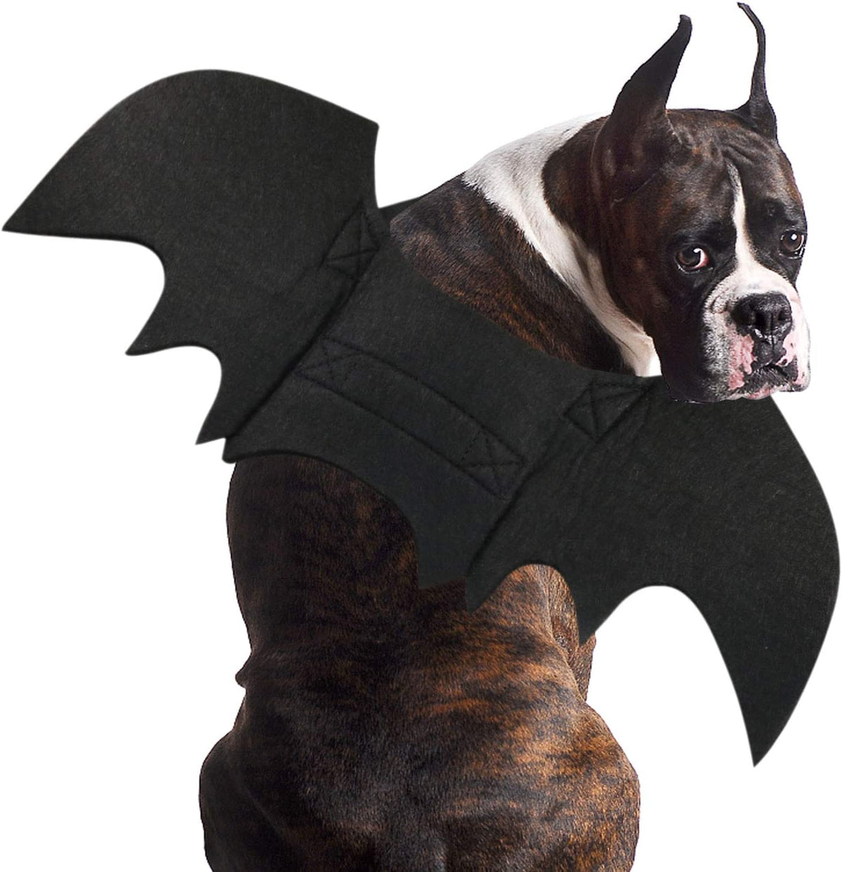 Adjustable black bat wings Halloween dog costume – product detail