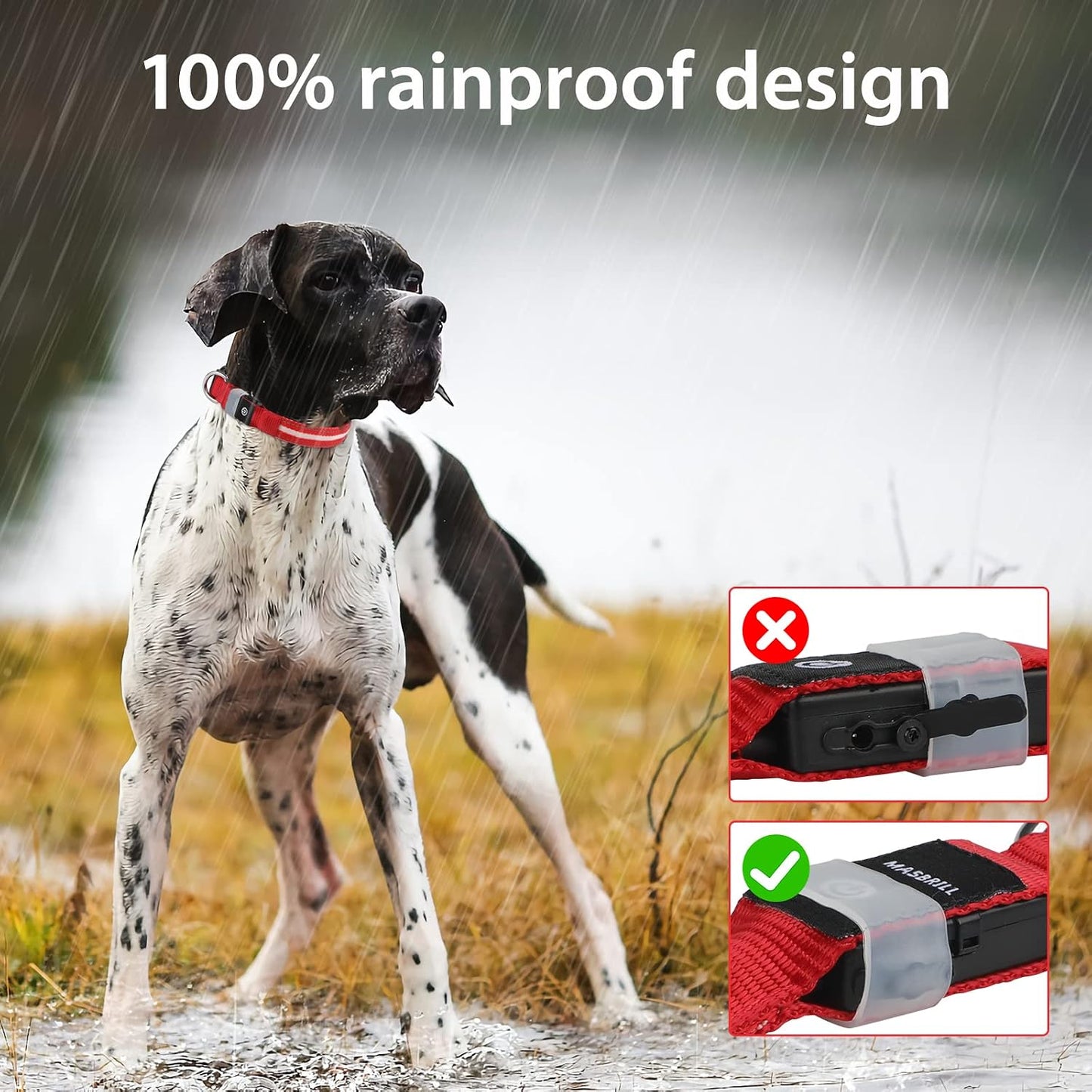GlowGuard adjustable sizing on dog