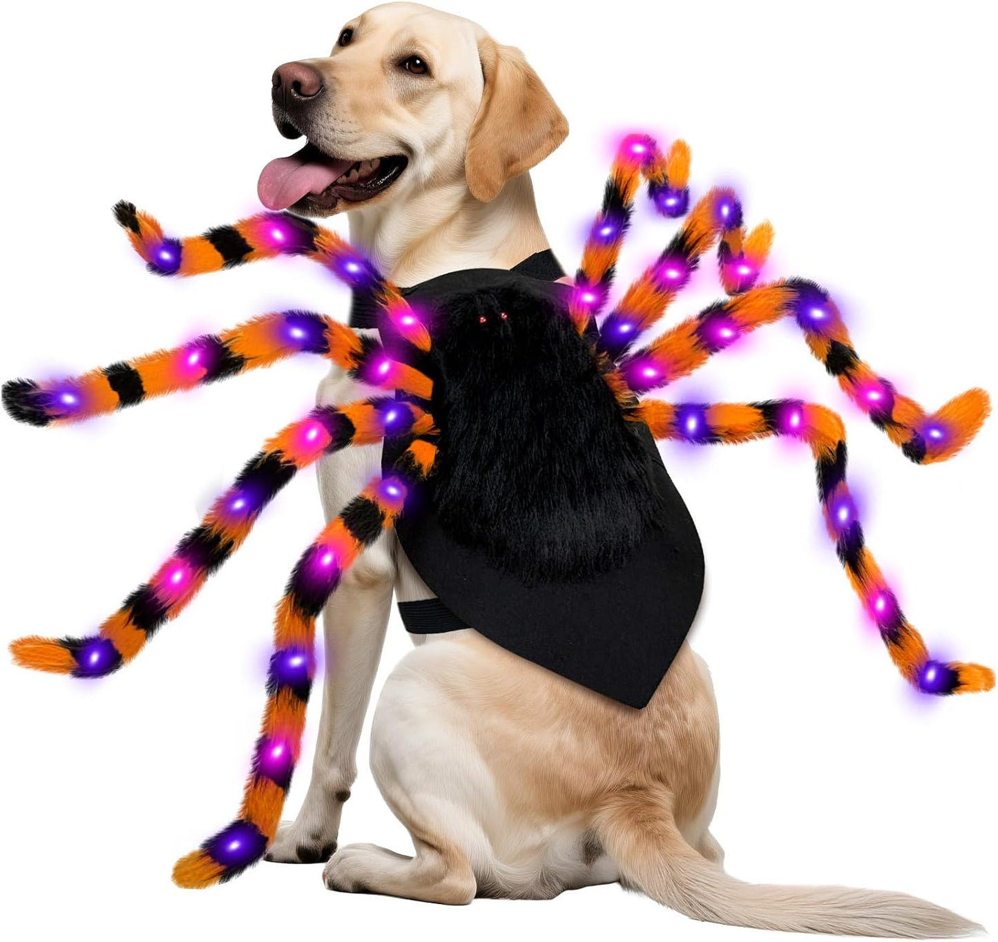 Vessel Tech SpiderPup 64 LED spider costume on large dog