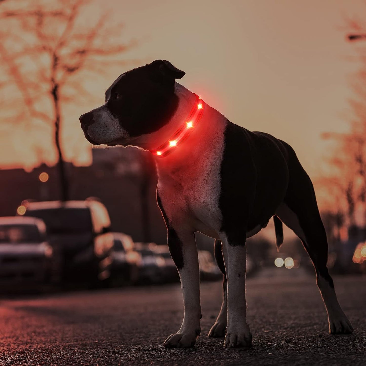 GlowGuard night walk visibility