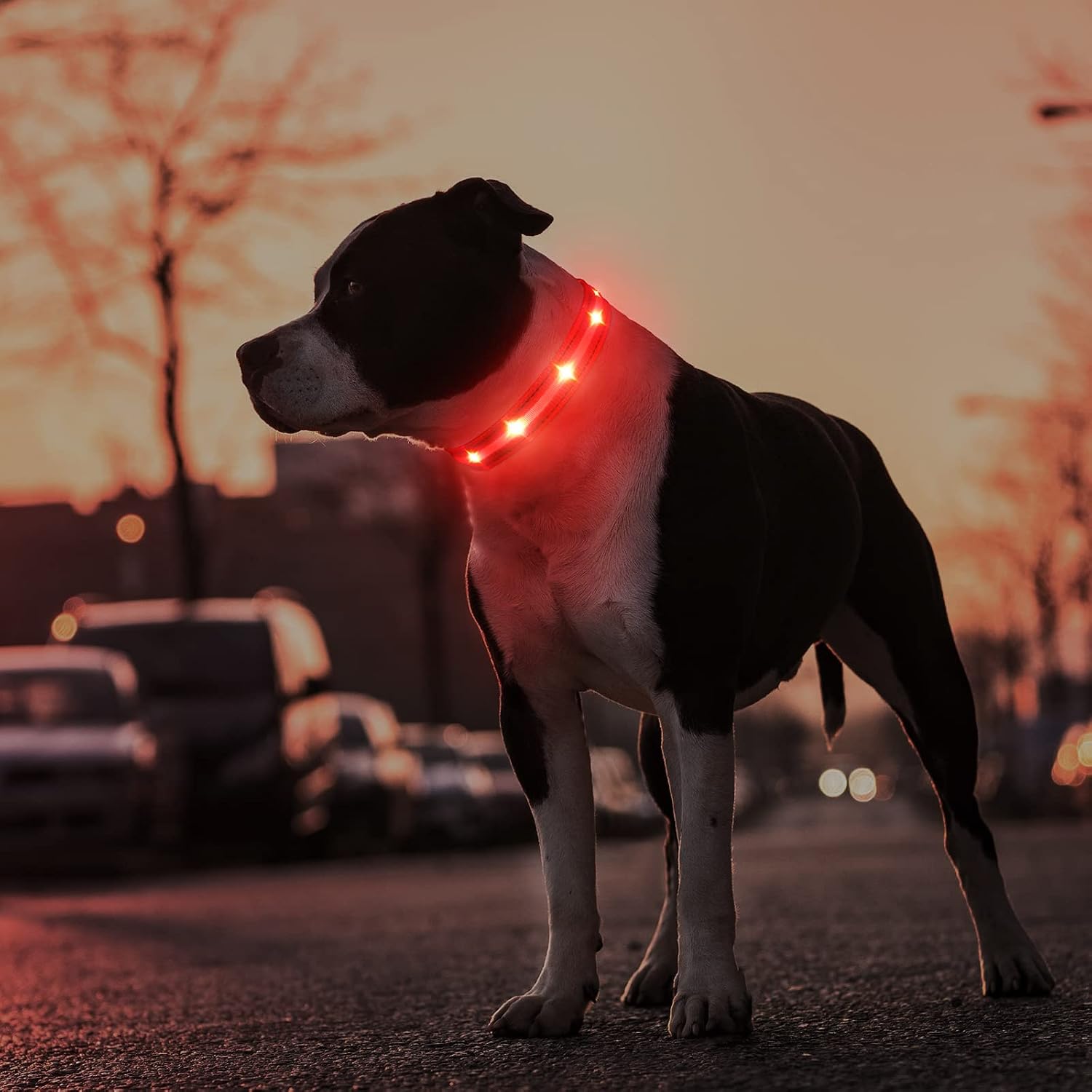 GlowGuard night walk visibility