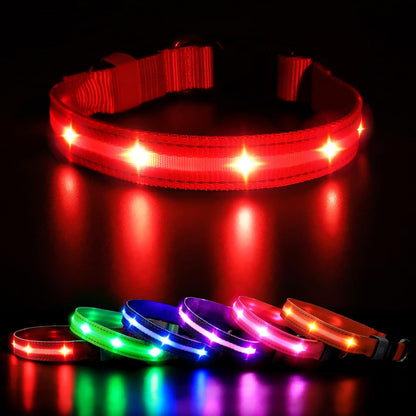 Vessel Tech GlowGuard rechargeable LED dog collar