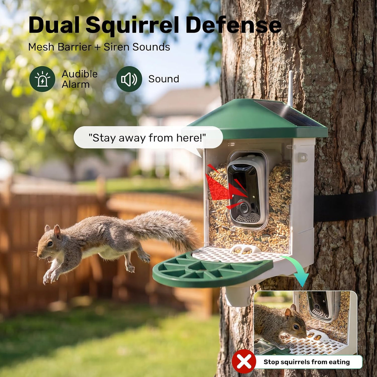 BirdWatch 2K solar smart bird feeder camera for backyard birdwatching