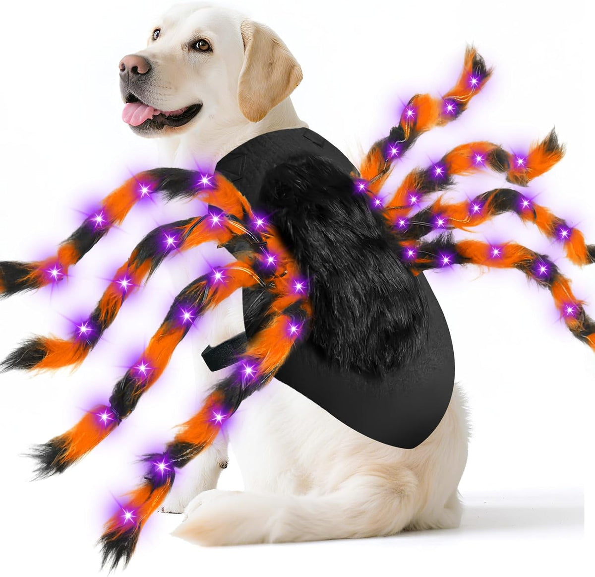 Light-up spider dog costume size and fit details