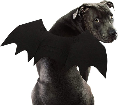 Black adjustable bat wings Halloween costume worn by a dog