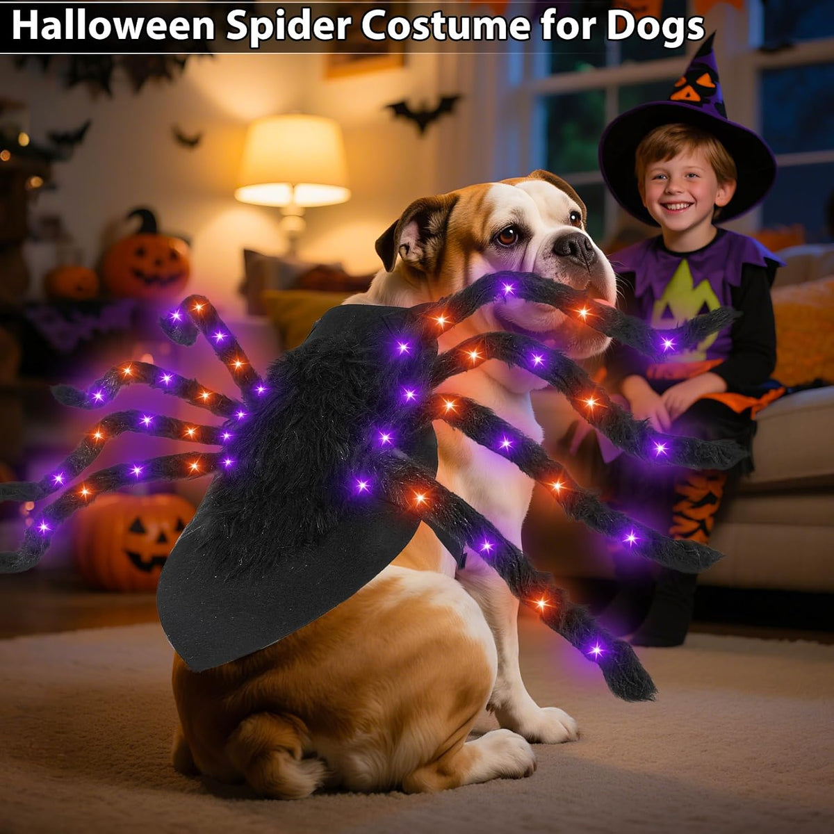 Orange LED spider costume for dogs