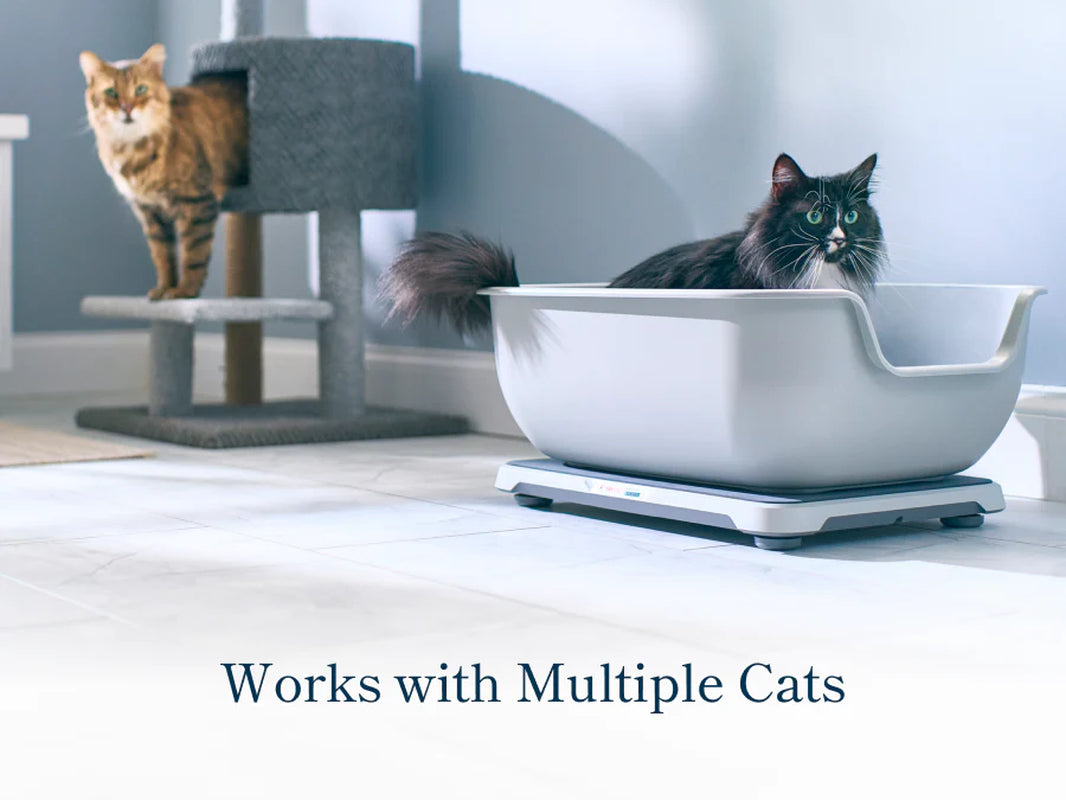 Revolutionary Smart Litter Box Monitor: Keep Your Cat Healthy with AI Technology