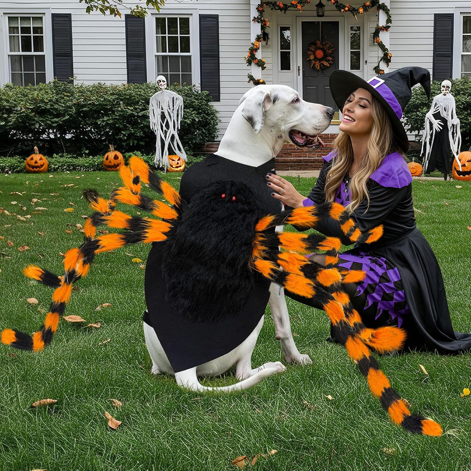SpiderPup costume on XL breed dog outdoors