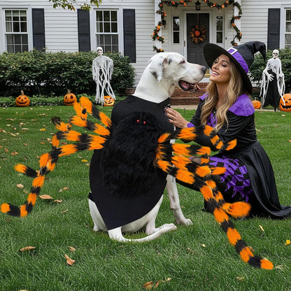 SpiderPup costume on XL breed dog outdoors
