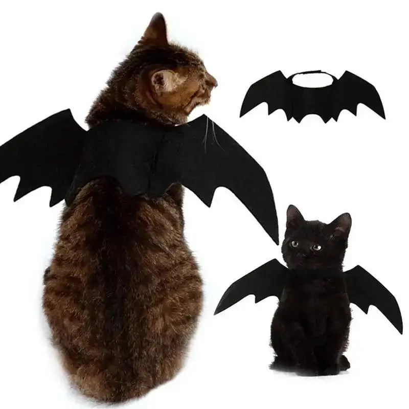 BatWings pet costume side view