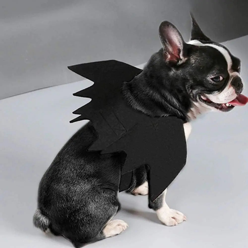BatWings costume fit guide