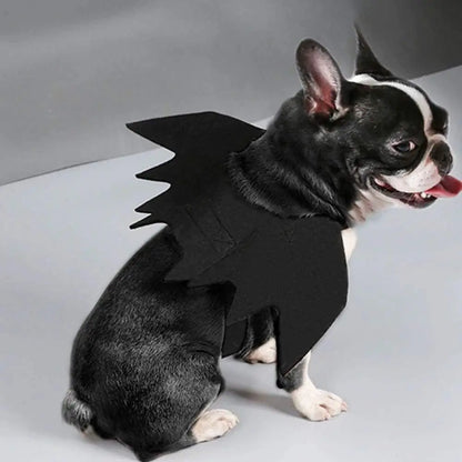 BatWings costume fit guide