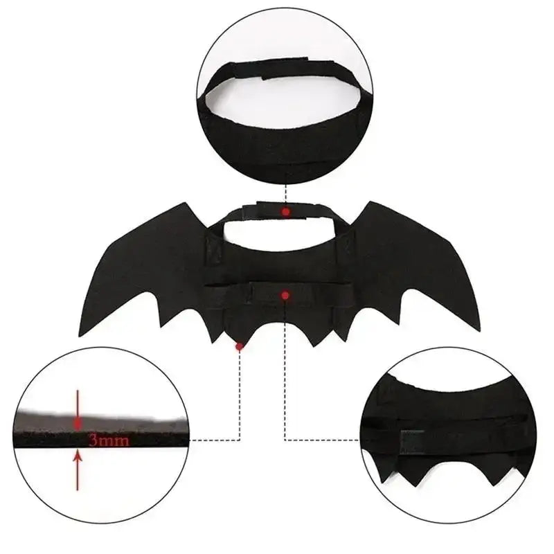 Pet wearing bat wings Halloween costume