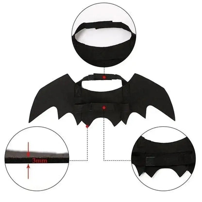Pet wearing bat wings Halloween costume