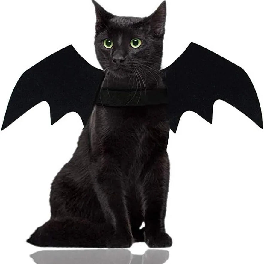 Cat wearing black bat wings Halloween costume