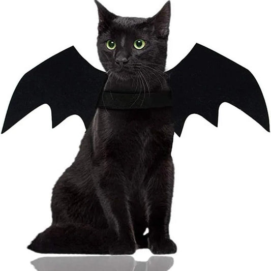 Cat wearing black bat wings Halloween costume