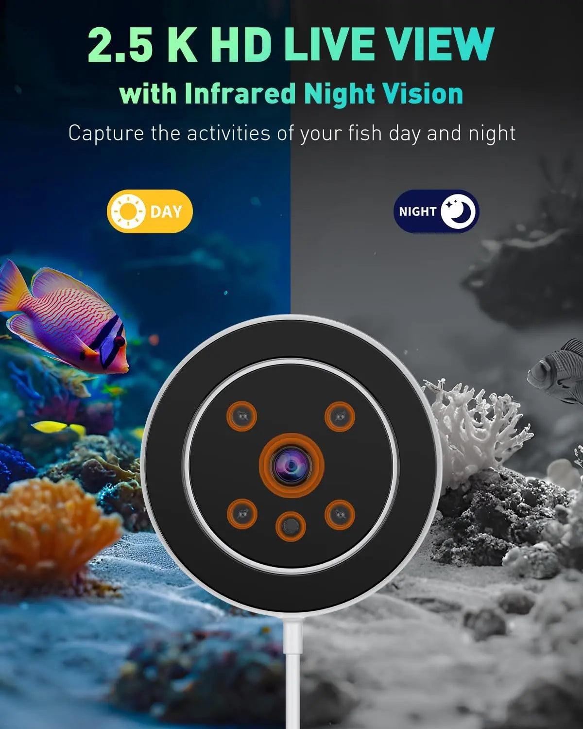 Wags & Whiskers AquaView Smart Feeder with day and night view features, pet tech