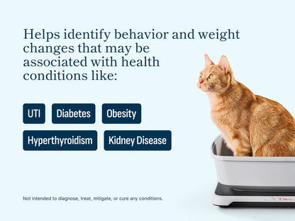Revolutionary Smart Litter Box Monitor: Keep Your Cat Healthy with AI Technology