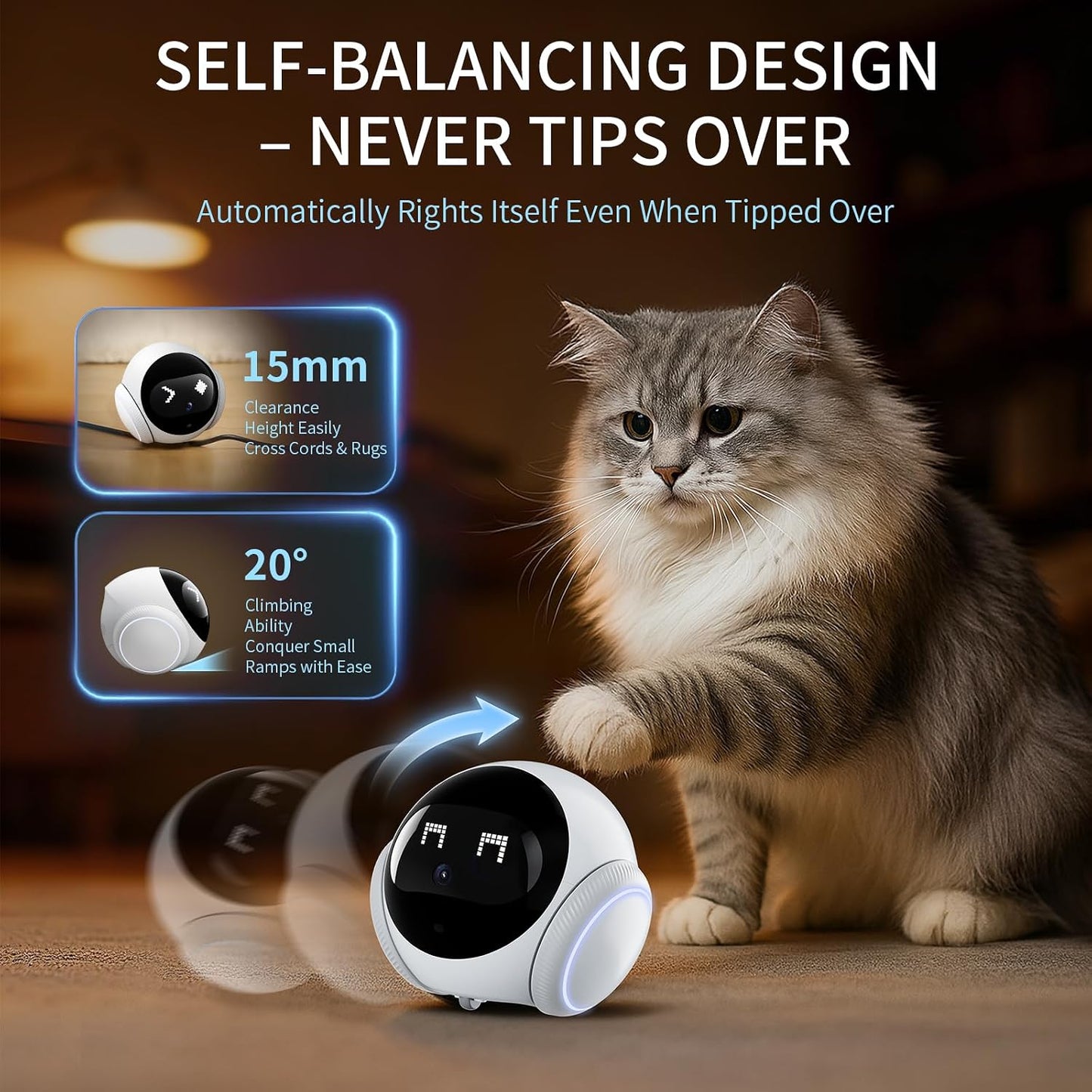 Immersive pet's eye view captured by the Robowatch Pro camera as it follows your dog or cat