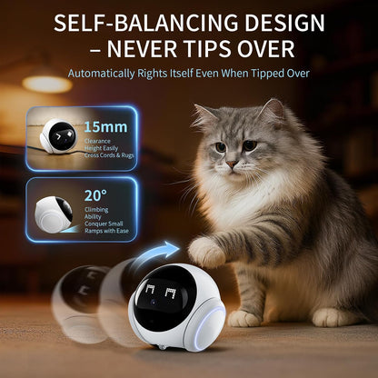 Immersive pet's eye view captured by the Robowatch Pro camera as it follows your dog or cat