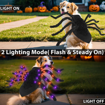 Purple LED spider costume for dogs