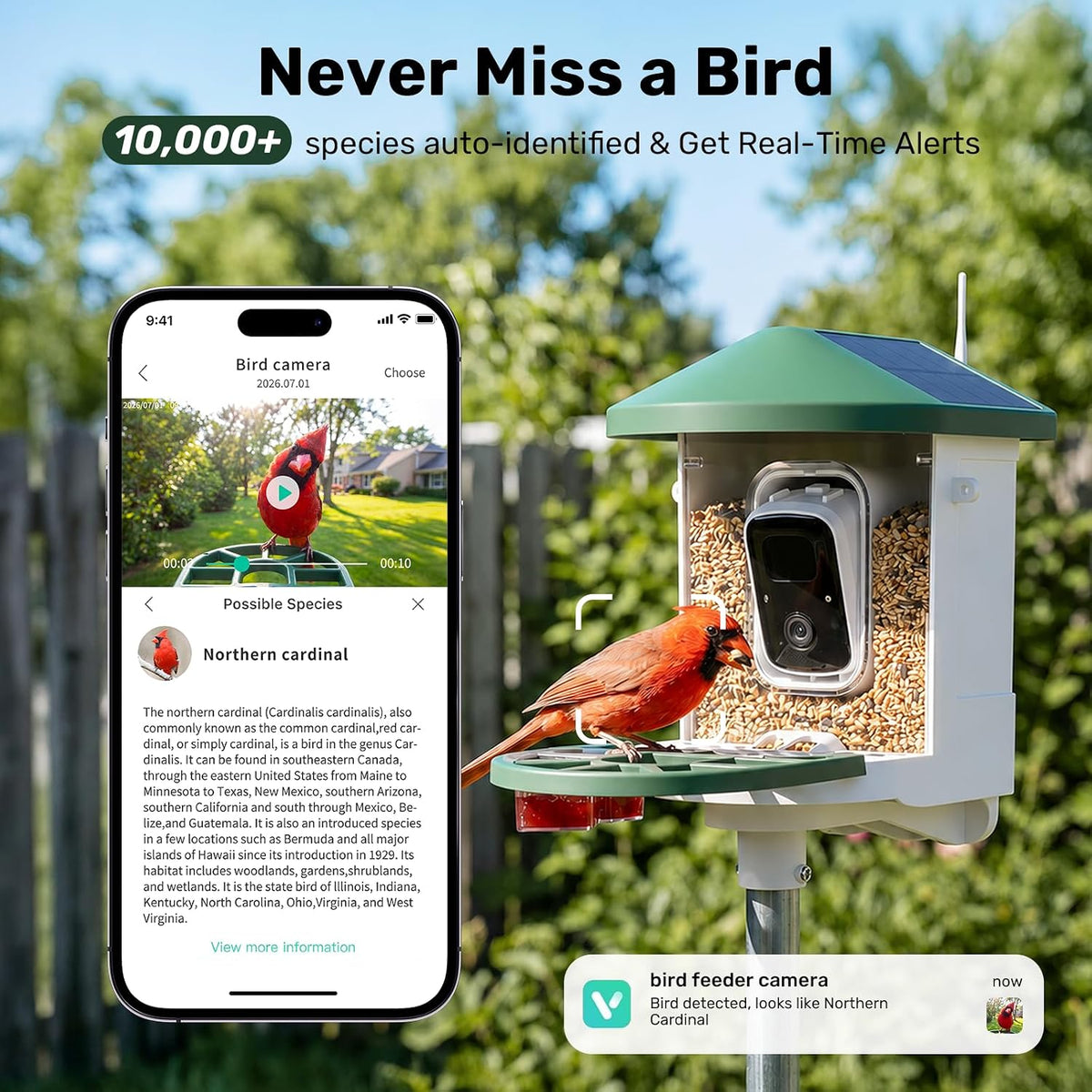BirdWatch 2K solar smart bird feeder camera for backyard birdwatching