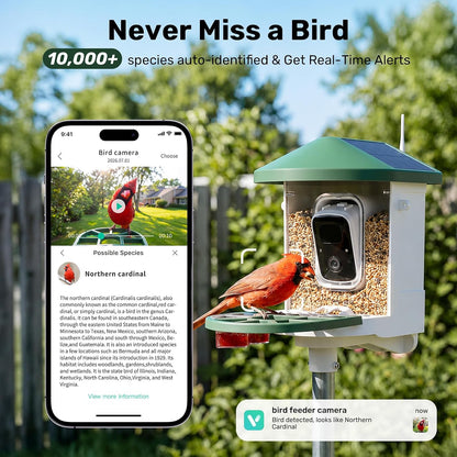 BirdWatch 2K solar smart bird feeder camera for backyard birdwatching