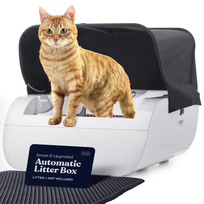 Montret Horizon AI Smart Self-Cleaning Litter Box with cat on top and black cover