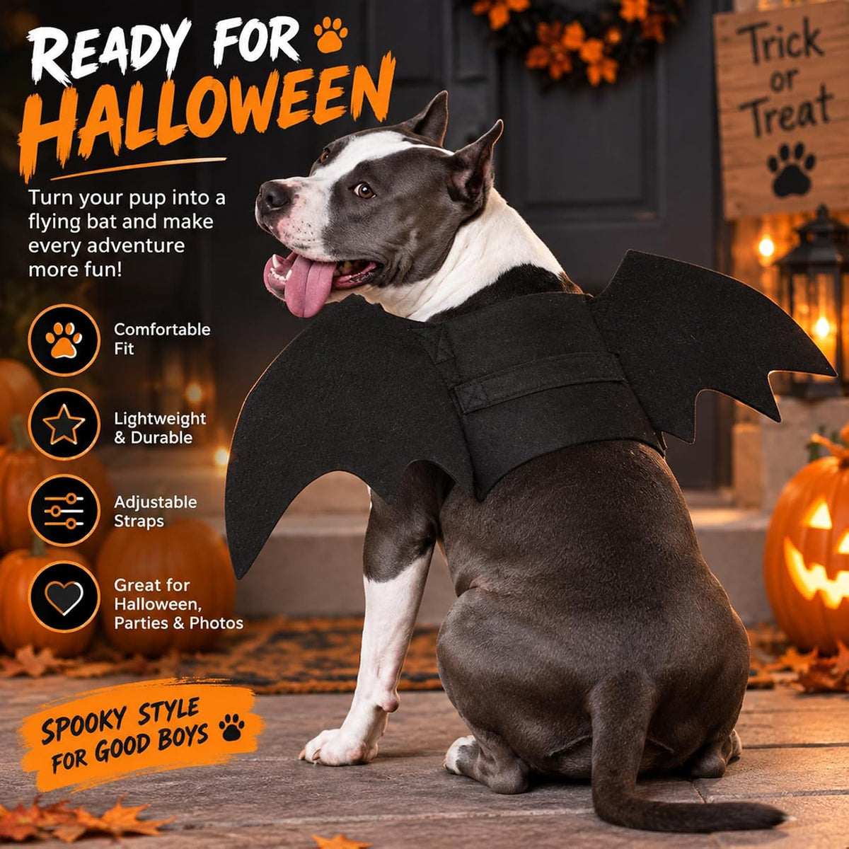 Adjustable black bat wings Halloween dog costume – product detail