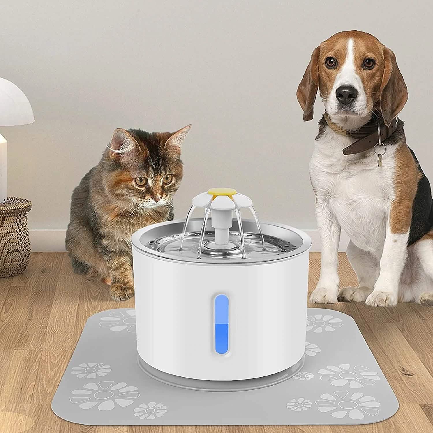 DailySale Vessel Four: Aqua Flow pet water fountain with a blue light, viewed from the front