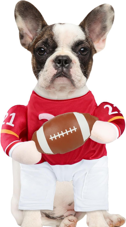 Small dog wearing a padded football player costume for Halloween and game day
